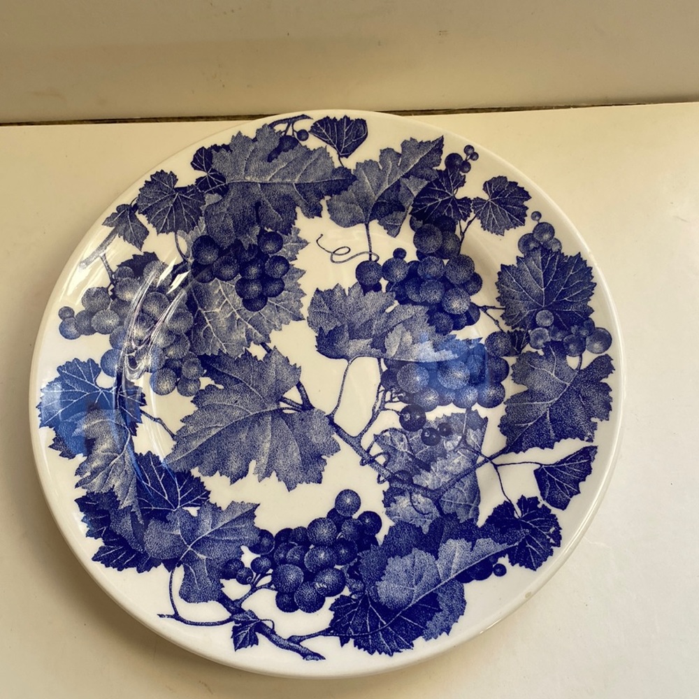 La Primila made in Italy luncheon plates. (2)